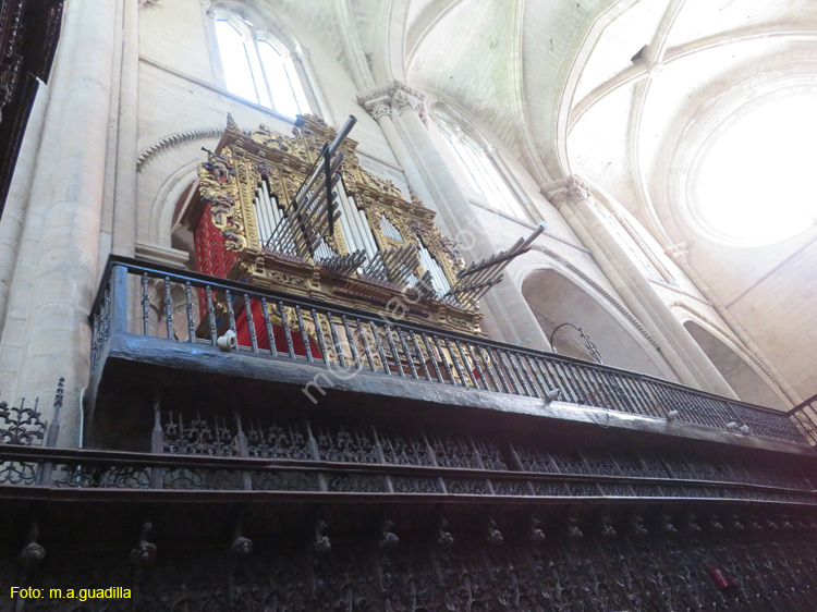 TUDELA (170) Catedral de Santa Maria la Mayor
