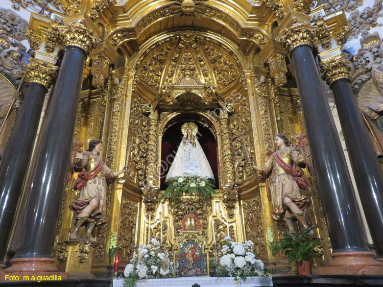TUDELA (181) Catedral de Santa Maria la Mayor
