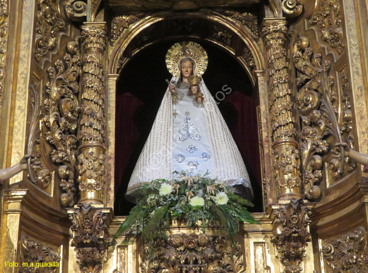 TUDELA (182) Catedral de Santa Maria la Mayor