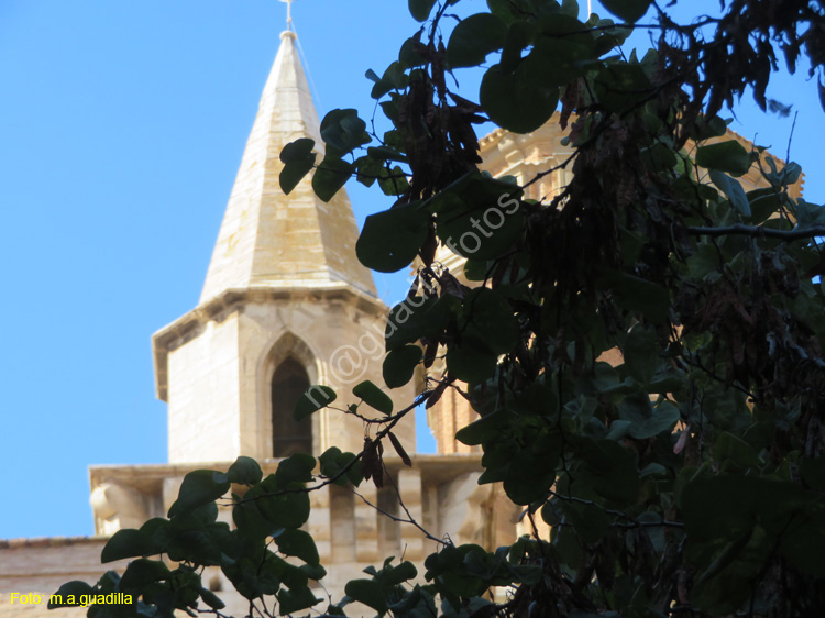 TUDELA (191) Catedral de Santa Maria la Mayor