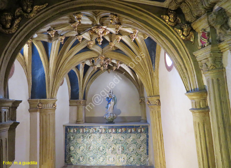 TUDELA (193) Catedral de Santa Maria la Mayor