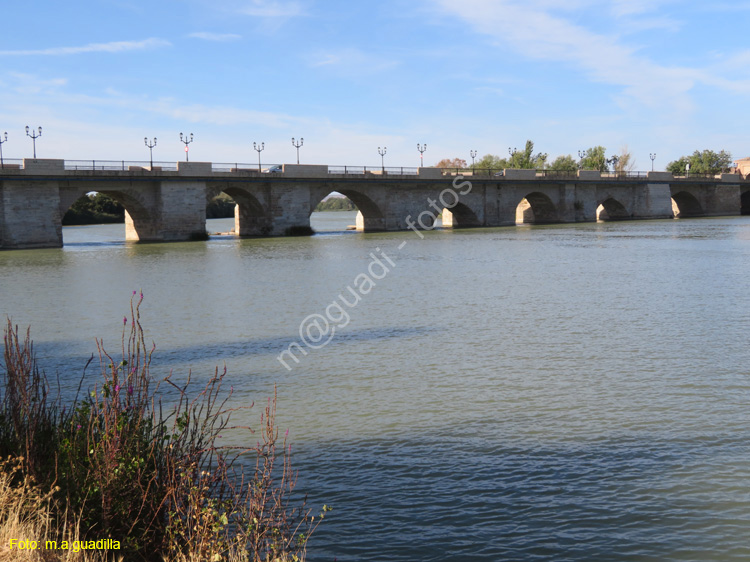 TUDELA (263) Puente del rio Ebro