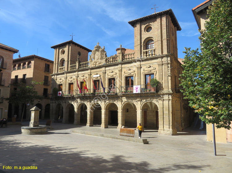 VIANA (108) Ayuntamiento