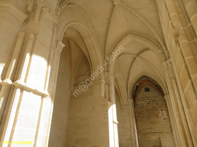 VIANA (194) Ruinas de la Iglesia de San Pedro
