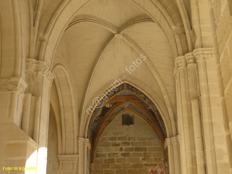 VIANA (195) Ruinas de la Iglesia de San Pedro