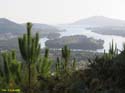 VILANOVA DE CERVEIRA (163) Mirador del Ciervo