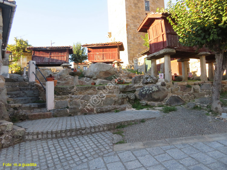 VILANOVA DE LOS INFANTES (111)