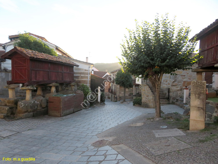VILANOVA DE LOS INFANTES (116)