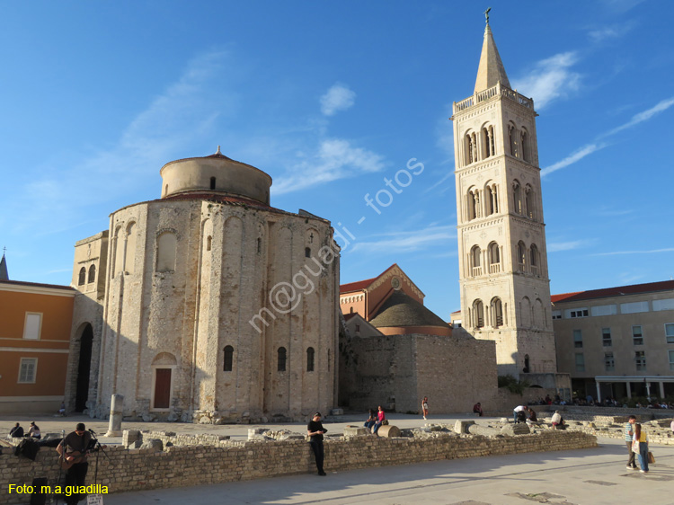 Zadar (131) foro romano